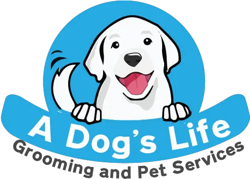  Dog Life Dog Catches Something Png Pet Logo