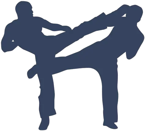  Transparent Png Svg Vector File Jiu Jitsu Silhueta Png Fight Png