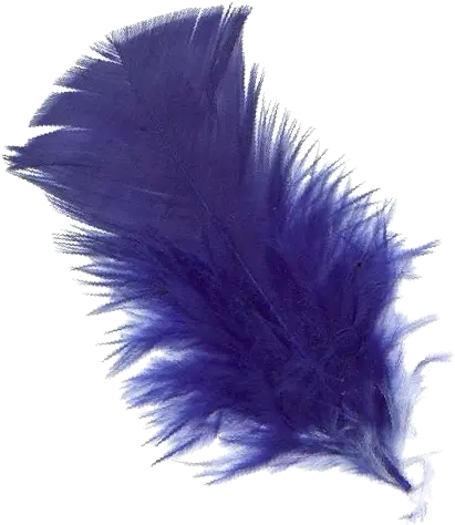  Png Background Pluma Azul Png Feather Transparent