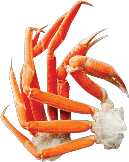  King Crab Legs Transparent Png Freshwater Crab Crab Transparent Background