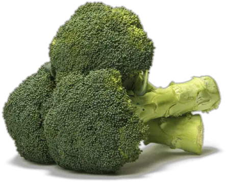  Organic Broccoli 1 Lb U2013 Checklistmv Broccoli Png Broccoli Png