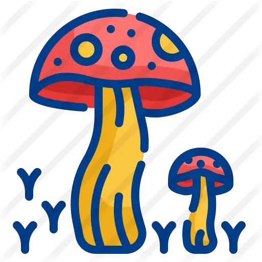  Mushroom Free Food Icons Wild Mushroom Png Mushroom Icon