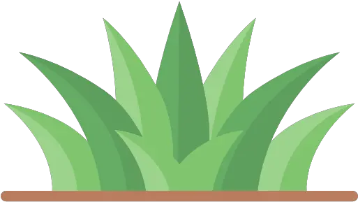  Agave Transparent Grass Icon Png Grass Icon