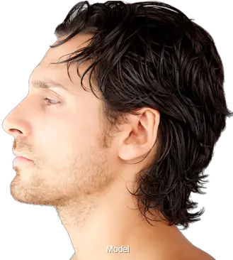  Free Men Hairstyle Images Download Png Lace Wig Men Hair Png