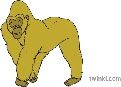  Gold Gorilla Illustration Twinkl Black And White Showing Bad Behaviour Png Gorilla Png