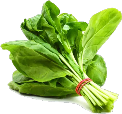  Spinach Png High Quality Image Palak Vegetable Name In English Spinach Png