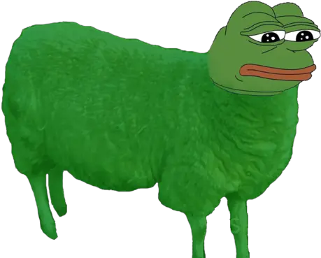  What Is A Shepepe Askfmsimilartoaboss Pepe The Frog Sheep Png Pepe The Frog Png