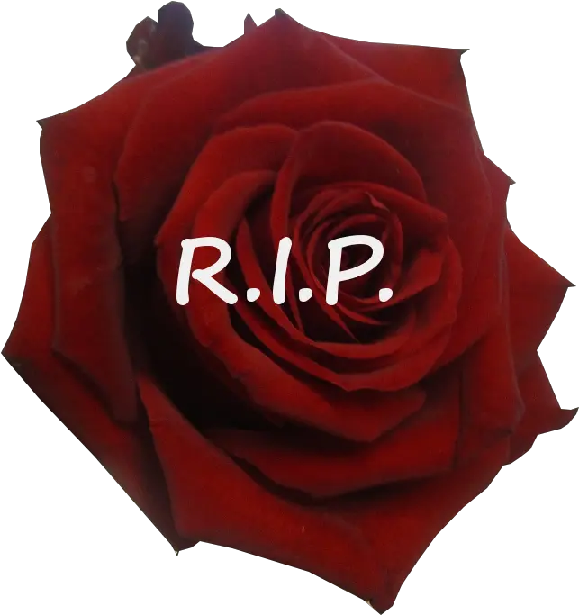  Rest In Peace Rose Related Keywords Lovely Png Rest In Peace Png