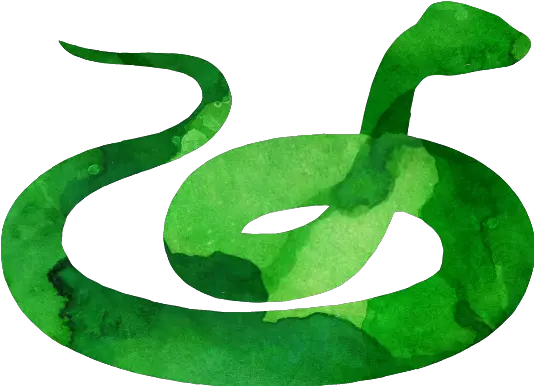  15 Slytherin Transparent Snake For Free Slytherin Snake Transparent Png Slytherin Png