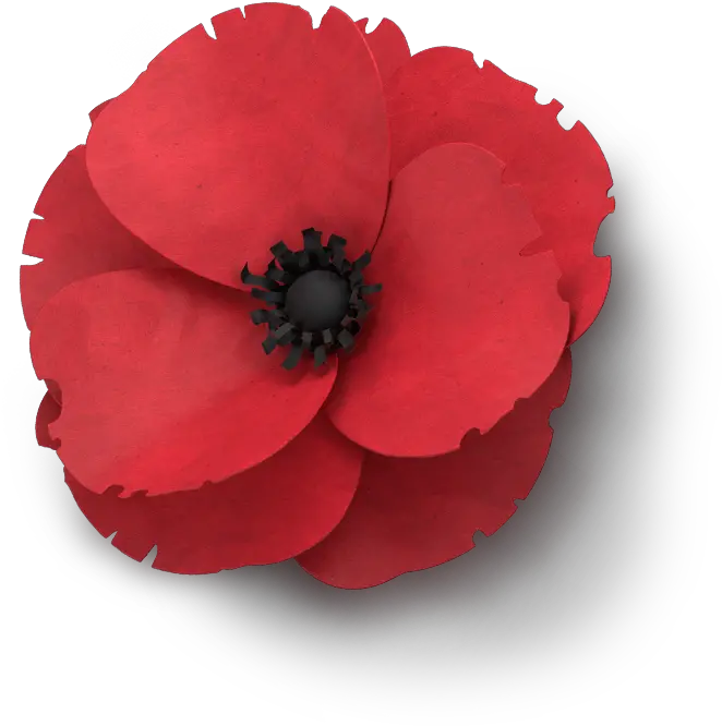  Clip Art Remembrance Day Single Poppy Flower Anzac Png Poppy Png