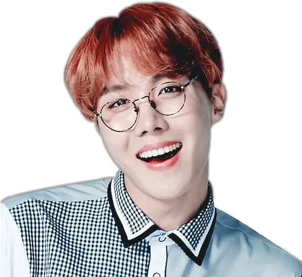  Sticker Bts J Hope Png Image J Hope Sticker Hd J Hope Png