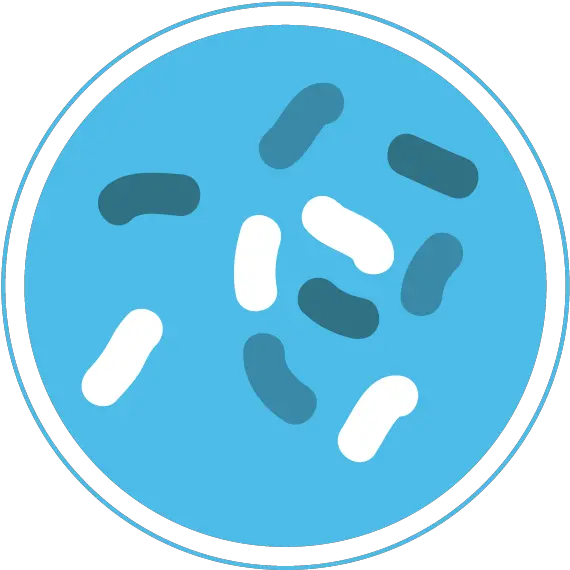  Bacteria Png Bacteria Icon Png Bacteria Transparent Background