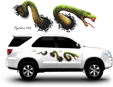  Auto Graphics Graphic Sticker Cobra Car Graphics Sticker Png Car Graphic Png