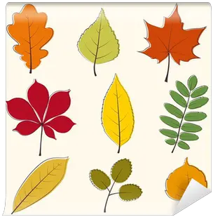  Autumn Leaves Icon Wall Mural U2022 Pixers We Live To Change Autumn Leaves Icon Png Abstract Leaf Icon