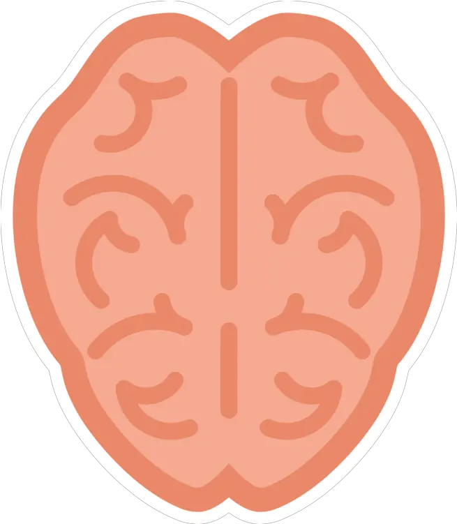  Brain Simple Illustration Png Brain Clipart Transparent