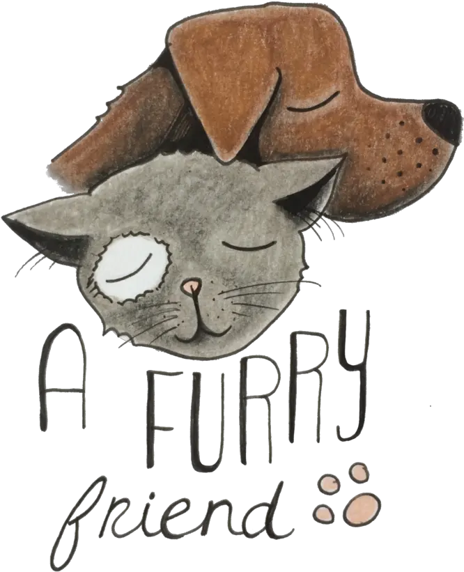  Logo Design For Furry Friend Cartoon Png Kids Wb Logo