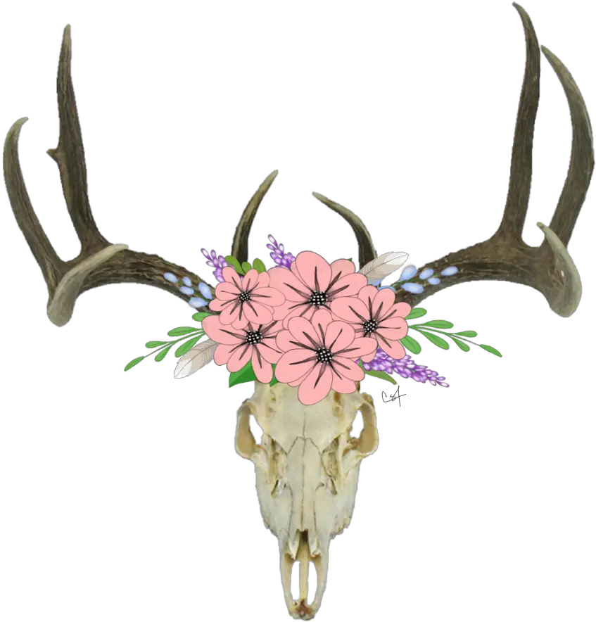  Deer Skull Transparent Background Cartoon Deer Skull With Flowers Png Deer Transparent Background