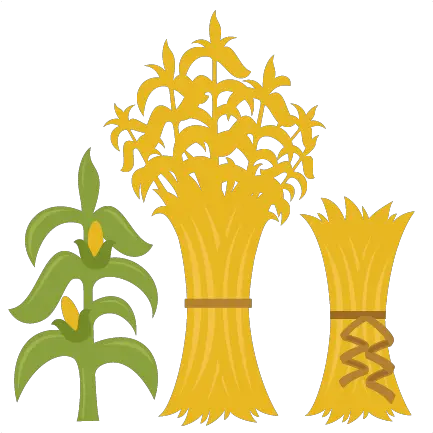  Corn Stalks Svg Cutting Files For Scrapbooking Fall Cut Fall Corn Stalks Clipart Png Corn Clipart Png