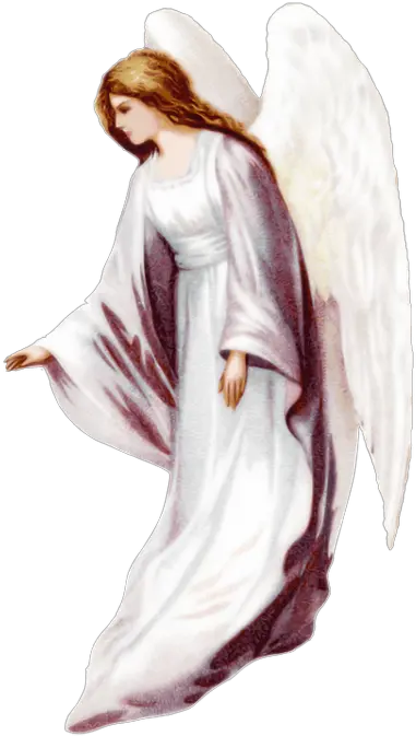  Download Angel Free Png Transparent Transparent Background White Angel Png Angel Png Transparent