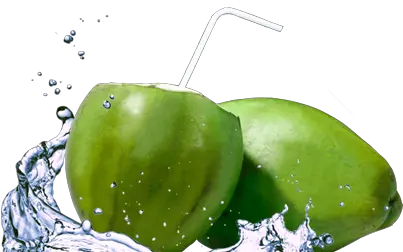  Coconut Water Transparent Png Clipart Agua De Coco Banner Coconut Png
