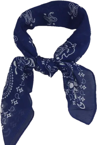  Download Blue Bandana Png Transparent Blue Bandana Png Bandana Transparent