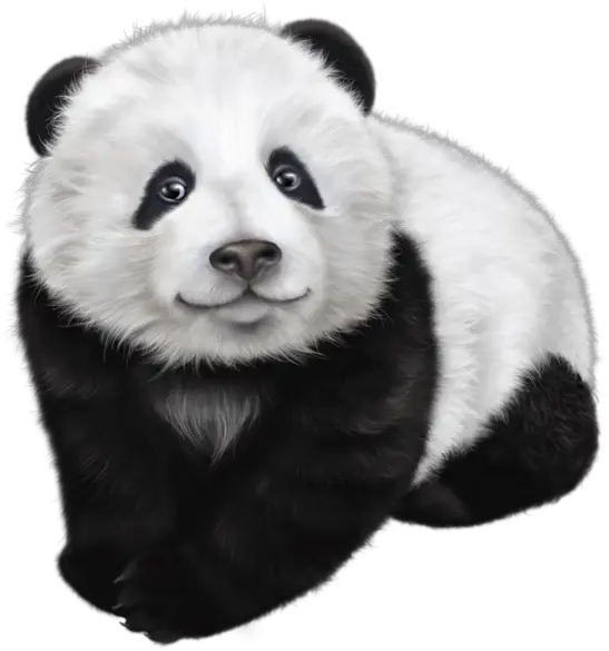  Panda Png Animal Images Bear Black And White Panda Drawing Panda Transparent Background