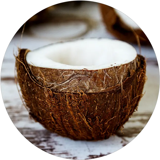  Coconut Oil Raw Apothecary Hindistan Cevizi Nasl Yenir Png Coconut Png