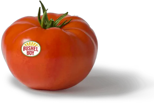  Bushel Boy U2013 Website Superfood Png Tomatoes Png