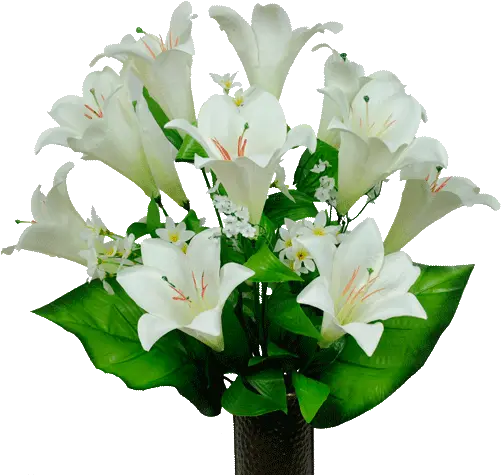  White Satin Lily Flower Png Easter Lily Png