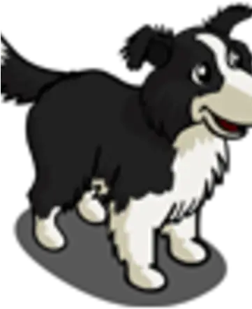  Border Collie Cartoon Png Border Collie Png