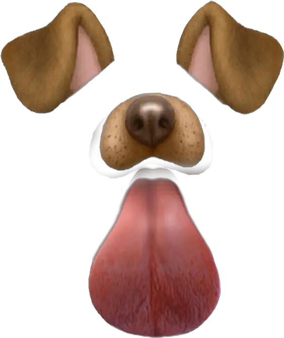  Diy Snapchats Filters Snapchat Filtro De Perro Png Snapchat Dog Filter Png