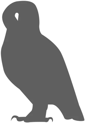  Owl Eagle Beak Silhouette Falconiformes Png Owl Silhouette Png