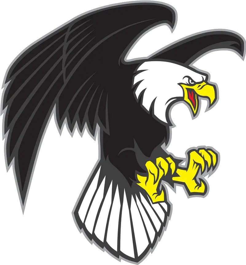  Flying Eagle Clipart Transparent 1 Cartoon Angry Eagle Png Eagle Clipart Png