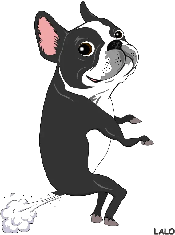  Free Boston Terrier Png Download Boston Terrier Drawing Easy Boston Terrier Png