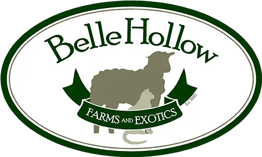  Testimonials Belle Hollow Farms And Exotics Language Png Belle Icon