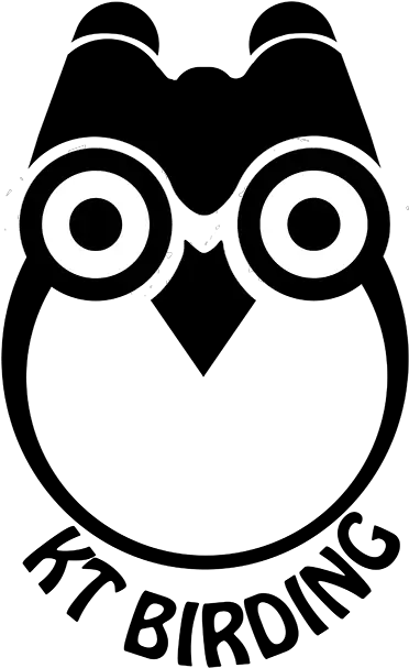  Kelly Tan Web Developer Graphic Cartoon Png Owl Eyes Logo