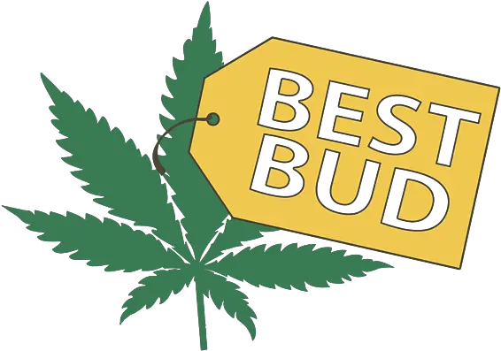  Best Bud Store Joke Pot Weed Smoke High Vape Marijuana Leaf Funny Tote Bag Dibujo De Chala De Marihuana Png Pot Leaf Transparent