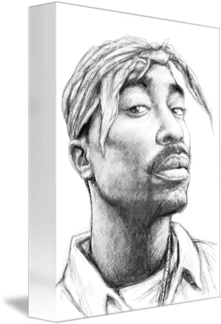  Tupac Shakur Realistic Drawing Skill Tupac Shakur Drawing Portrait Png Tupac Png