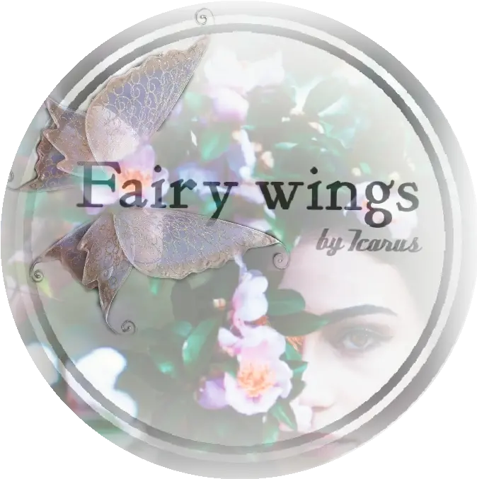  Adult Fairy Wings Archives Icarus Fairy Wings Eye Shadow Png Fairy Wings Png