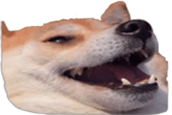  Download Design Any Discord Emoji You Take A Shit And They Discord Dog Emoji Png Shit Emoji Png