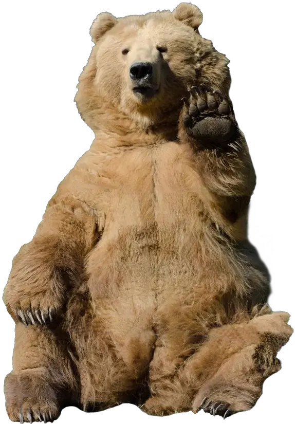  Download Soviet Bear Png Bear Waving Transparent Grizzly Bear Waving Bear Bear Png