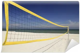  Beach Volleyball Net Wall Mural U2022 Pixers We Live To Change Net Png Volleyball Net Png