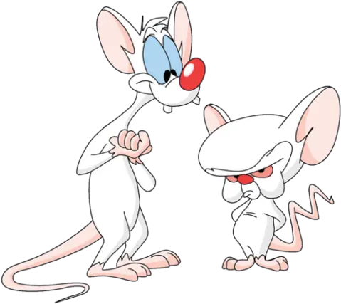  Split Brain Seeking Consistency Pinky And The Brain Png Brain Transparent Background