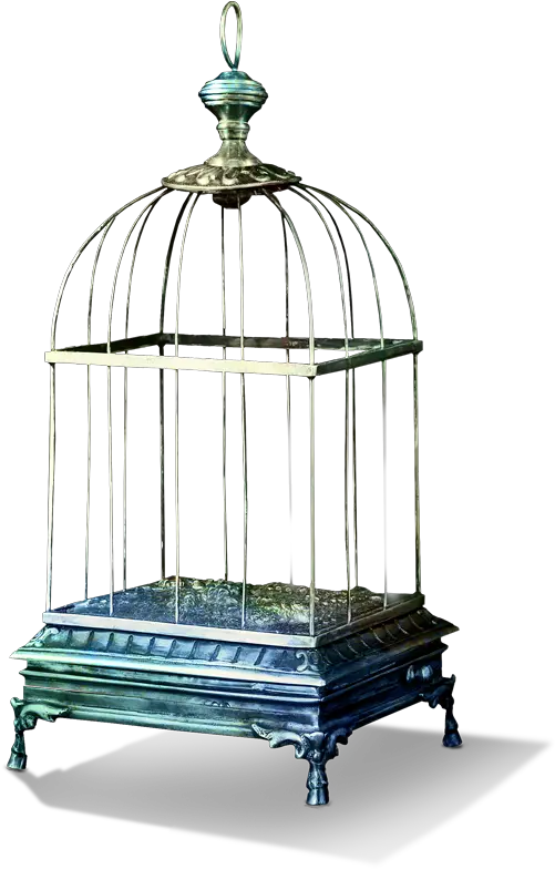  Download Tubes Bird Cage Png Image Cage À Oiseaux Png Bird Cage Png