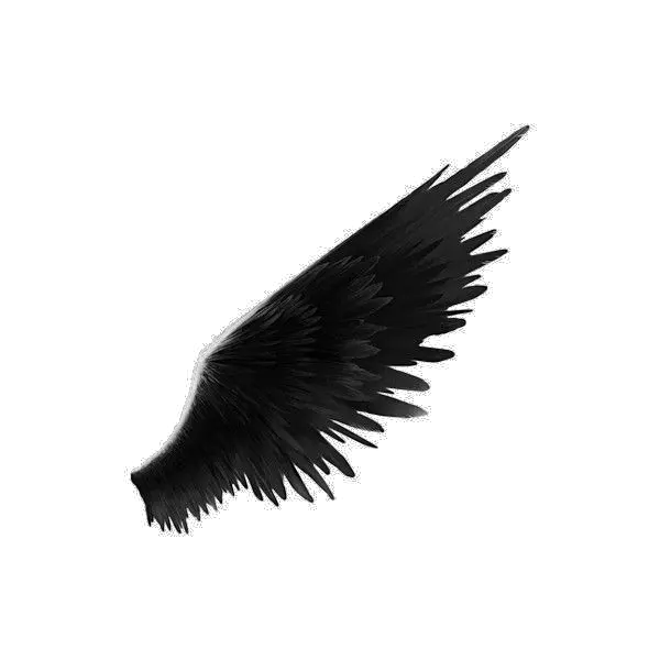  Black Wings Png Transparent Image Side View Angel Wing Png Wing Png