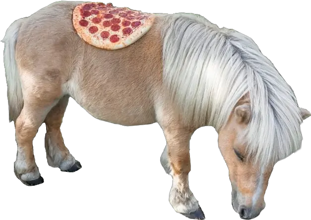  Shitpostbot 5000 Shetland Pony In Sweater Png Pony Transparent