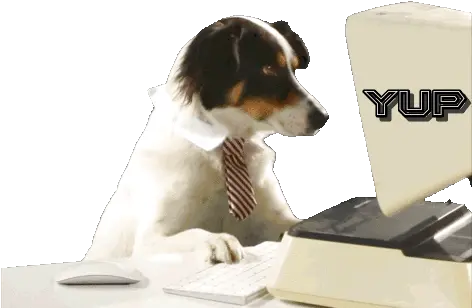  Yup Office Dog Gif Yup Officedog Agreeingdog Discover U0026 Share Gifs Treeing Walker Coonhound Png Snoop Dogg Gif Transparent