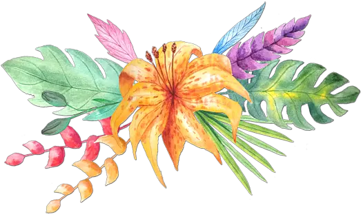  Download Tropical Watercolor Png Tropical Flower Tropical Flowers Png