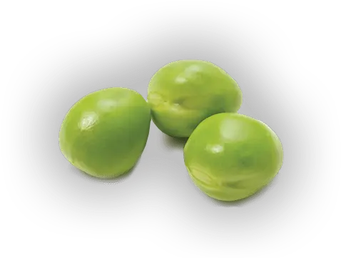  Download Free Png Pea Image Single Green Pea Png Pea Png