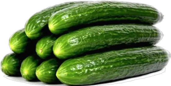  Download Veg Cucumbers Organic English English Cucumber Png Cucumber Png